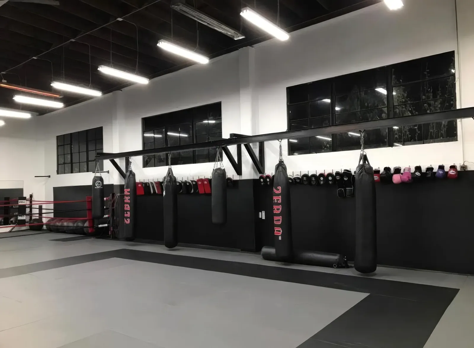 Tatame, sacos de pancada e ringue da AB Mixed Martial Arts em San Francisco