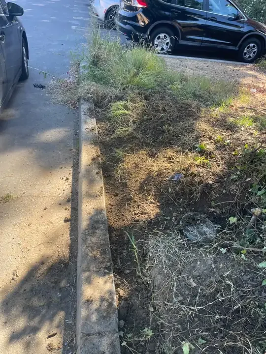 Reparo de linha de irrigação comercial feito pela AB Plumbing